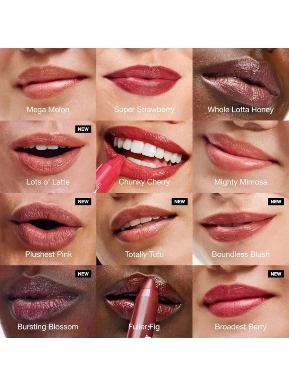 Moisturizing Tinted Lip Balm with Shea Butter | Hydrating Lip Tint | New Shades